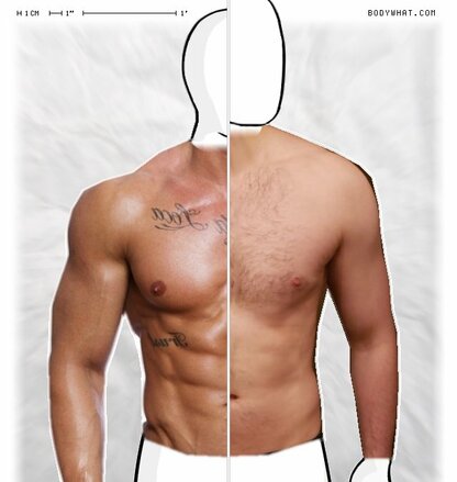 Torso Comparison