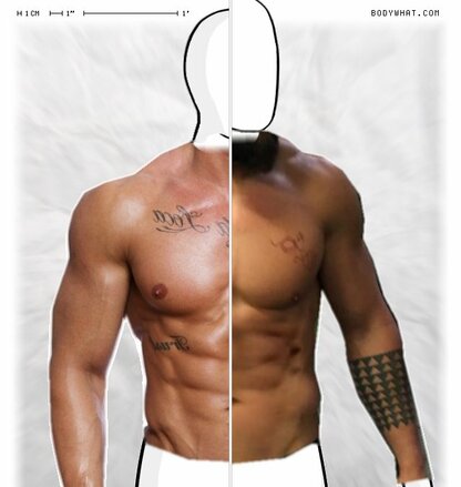 Torso Comparison