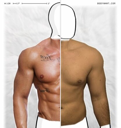 Torso Comparison