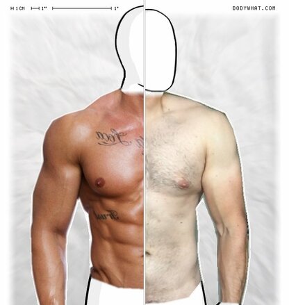 Torso Comparison