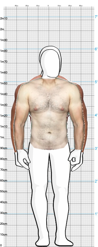 Full Size Comparison