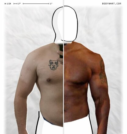 Torso Comparison