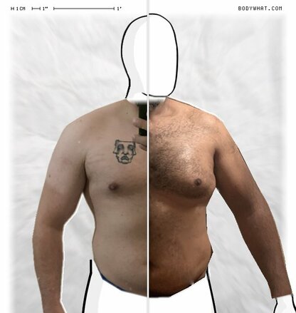 Torso Comparison