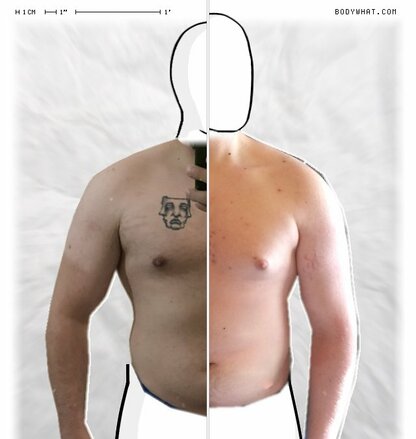 Torso Comparison