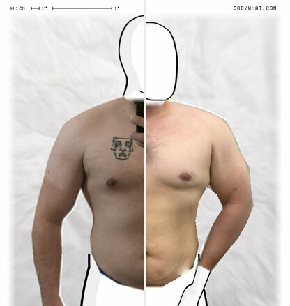 Torso Comparison