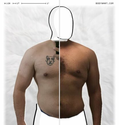 Torso Comparison
