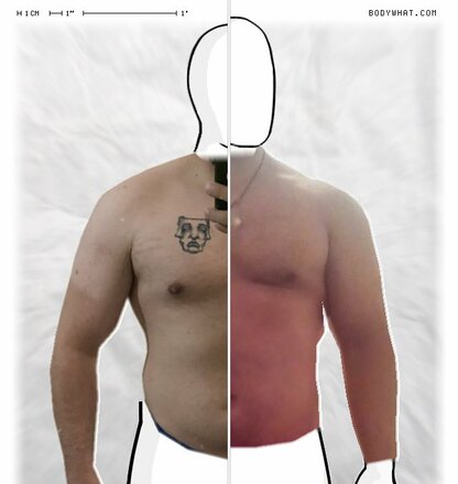 Torso Comparison
