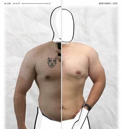 Torso Comparison