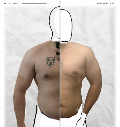 Torso Comparison