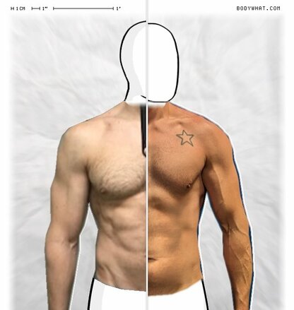 Torso Comparison