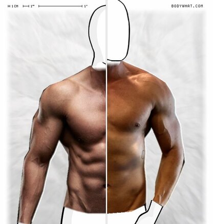 Torso Comparison