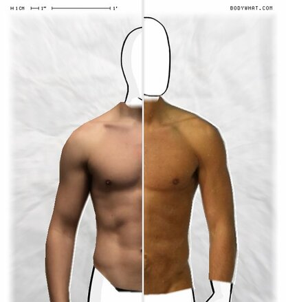 Torso Comparison