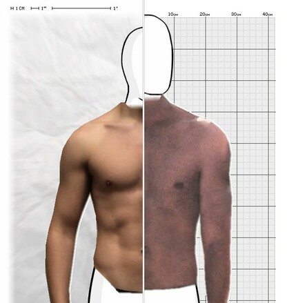 Torso Comparison