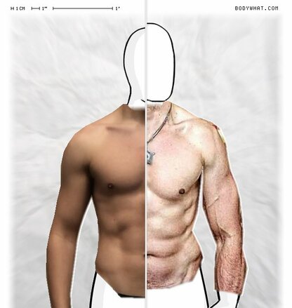 Torso Comparison