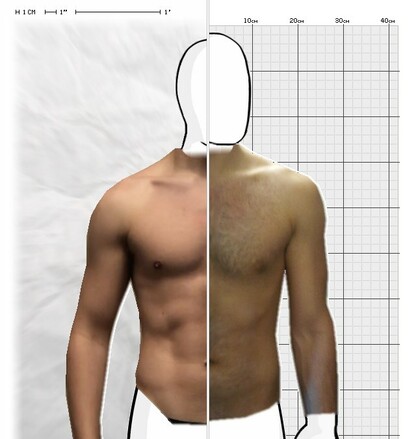 Torso Comparison