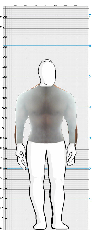 Full Size Comparison