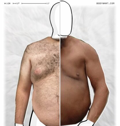 Torso Comparison