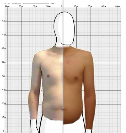 Torso Comparison