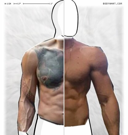 Torso Comparison