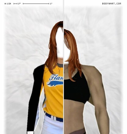 Torso Comparison