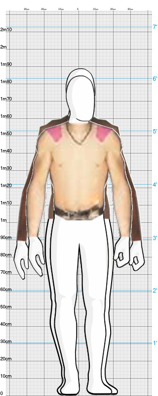 Full Size Comparison