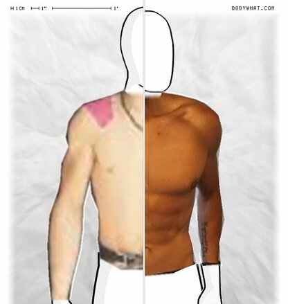 Torso Comparison