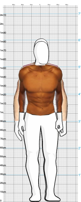 Full Size Comparison