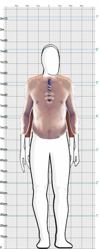 Full Size Comparison