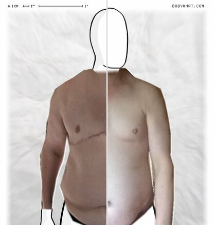 Torso Comparison