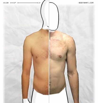 Torso Comparison
