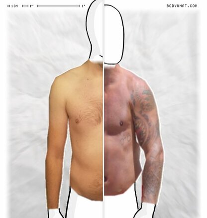Torso Comparison
