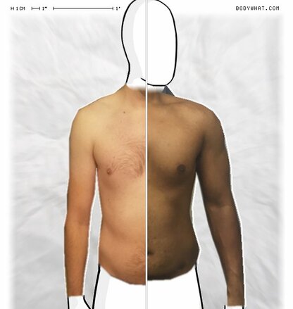 Torso Comparison