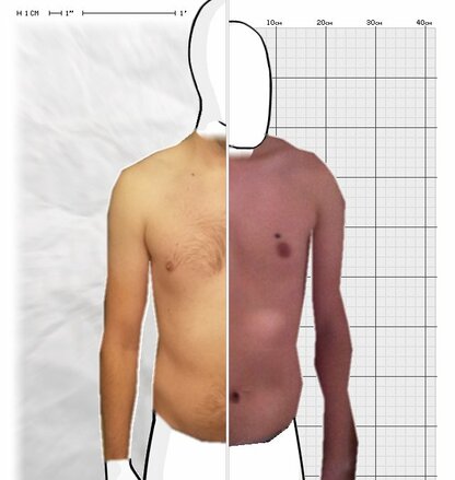 Torso Comparison