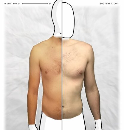 Torso Comparison