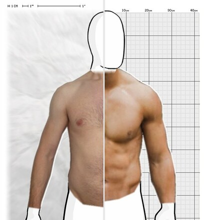 Torso Comparison