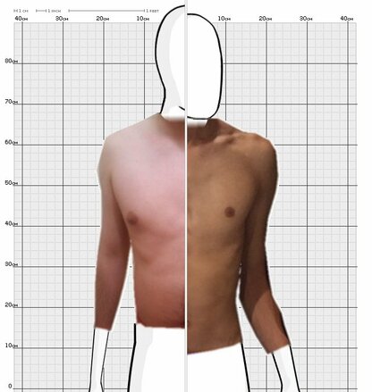 Torso Comparison