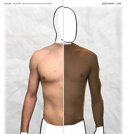 Torso Comparison