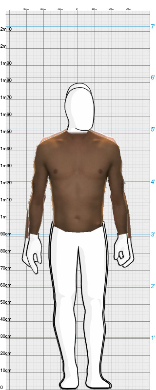 Full Size Comparison