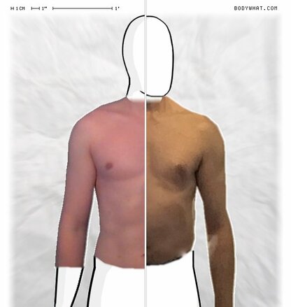 Torso Comparison