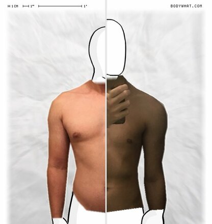 Torso Comparison