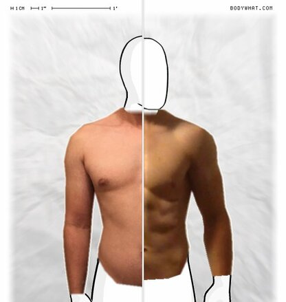 Torso Comparison