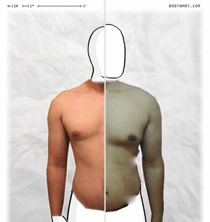Torso Comparison