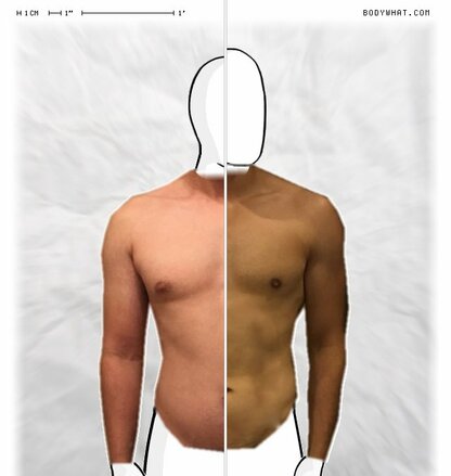 Torso Comparison