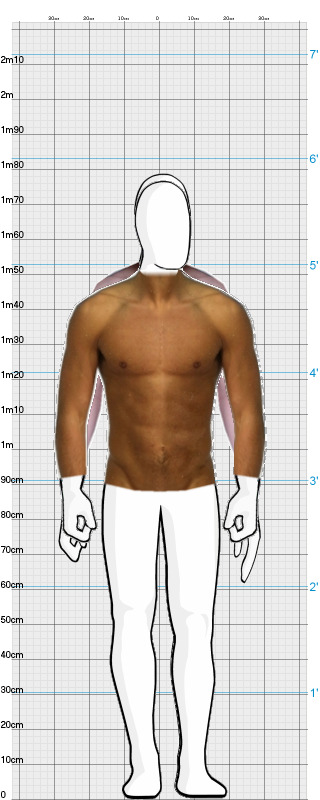 Full Size Comparison