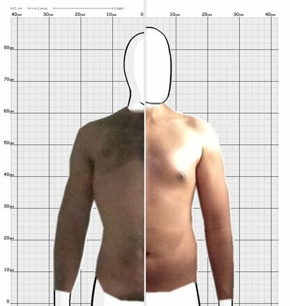Torso Comparison