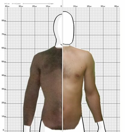 Torso Comparison
