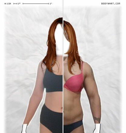 Torso Comparison