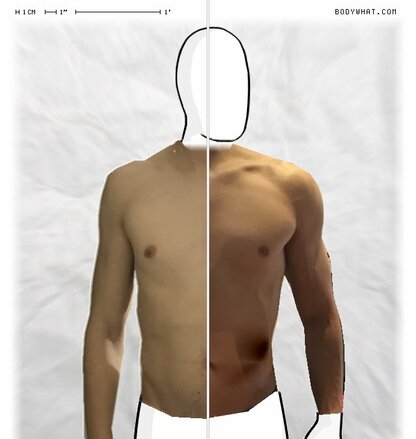 Torso Comparison