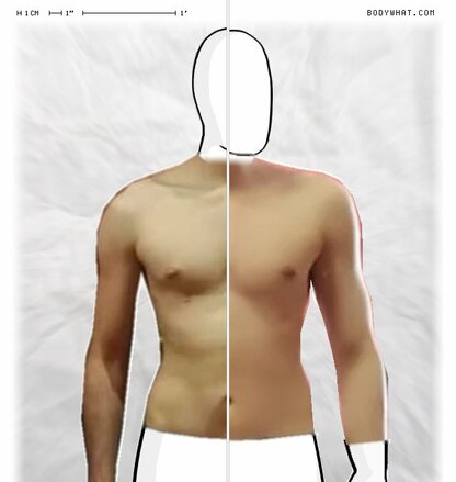 Torso Comparison