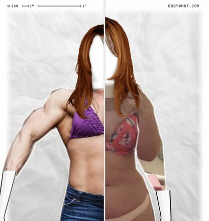 Torso Comparison